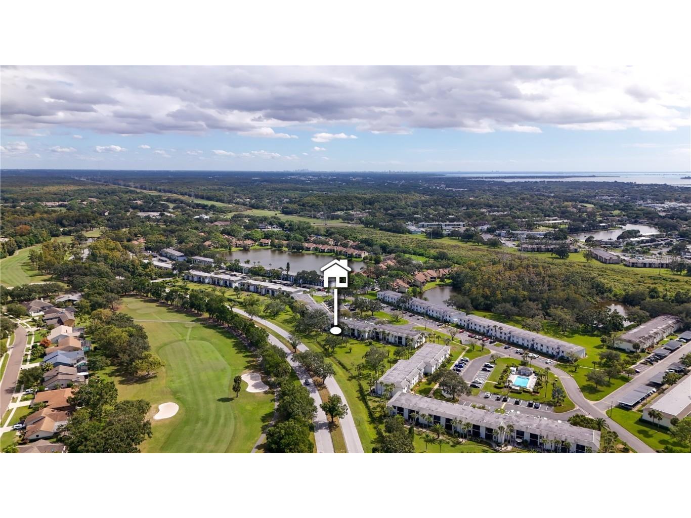 117 E Cypress Court #117 Oldsmar FL 34677 TB8443086 image29