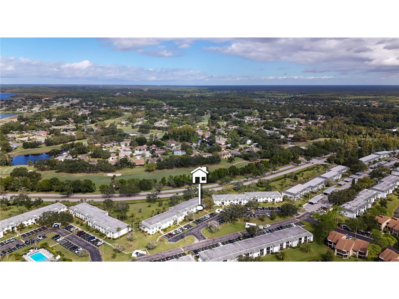 117 E Cypress Court #117 Oldsmar FL 34677 TB8443086 image30