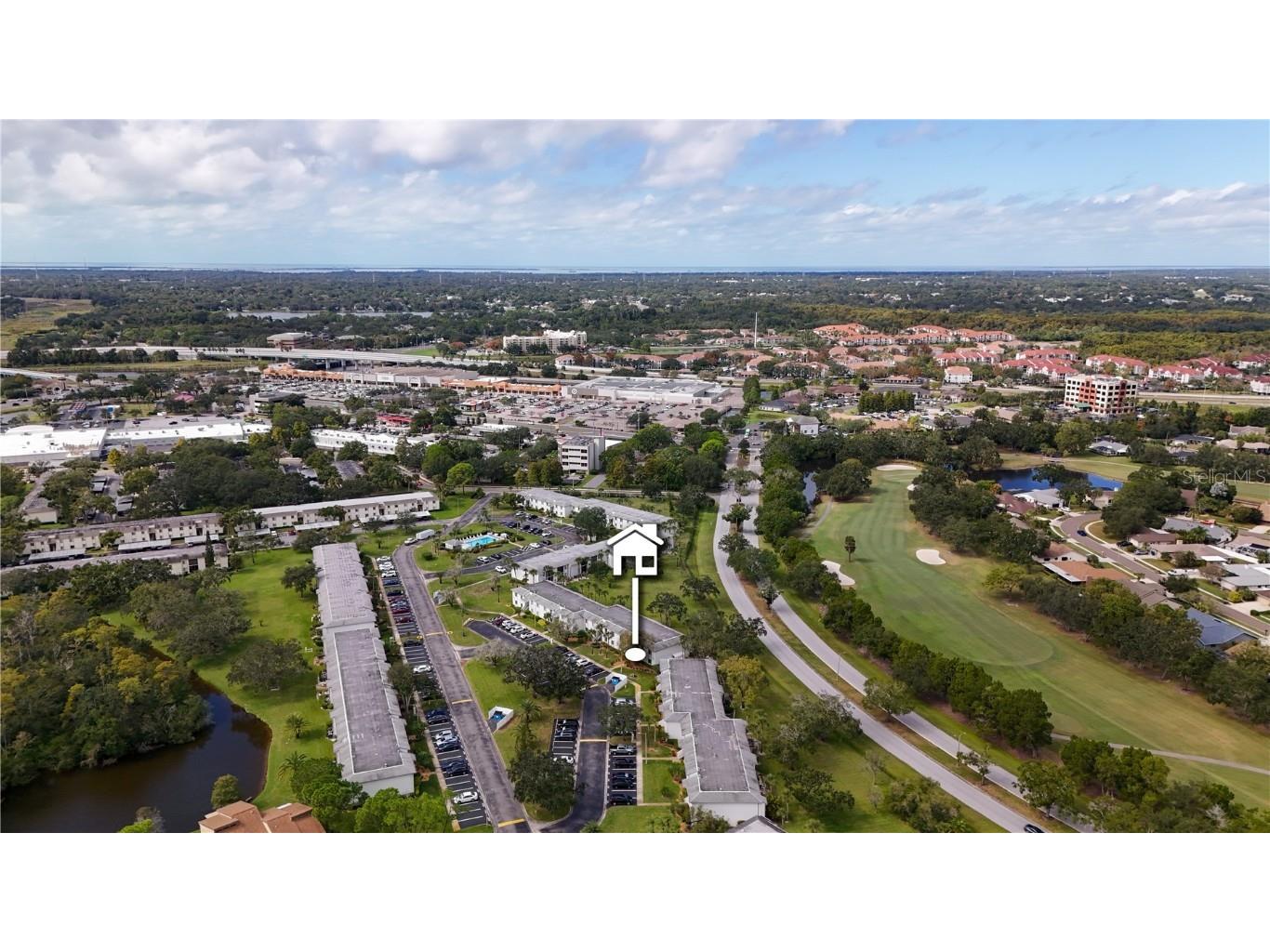 117 E Cypress Court #117 Oldsmar FL 34677 TB8443086 image31