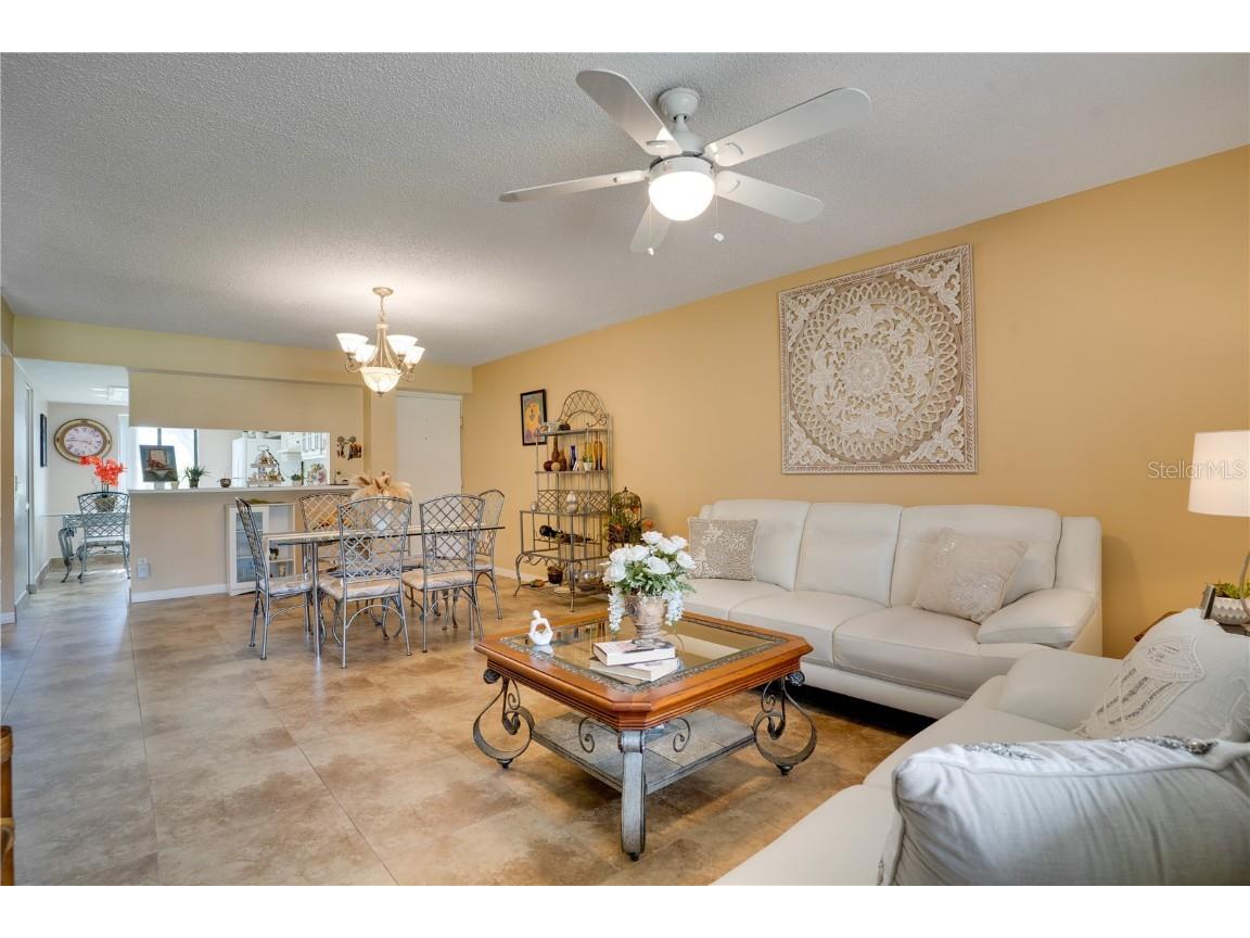 117 E Cypress Court #117 Oldsmar FL 34677 TB8443086 image6