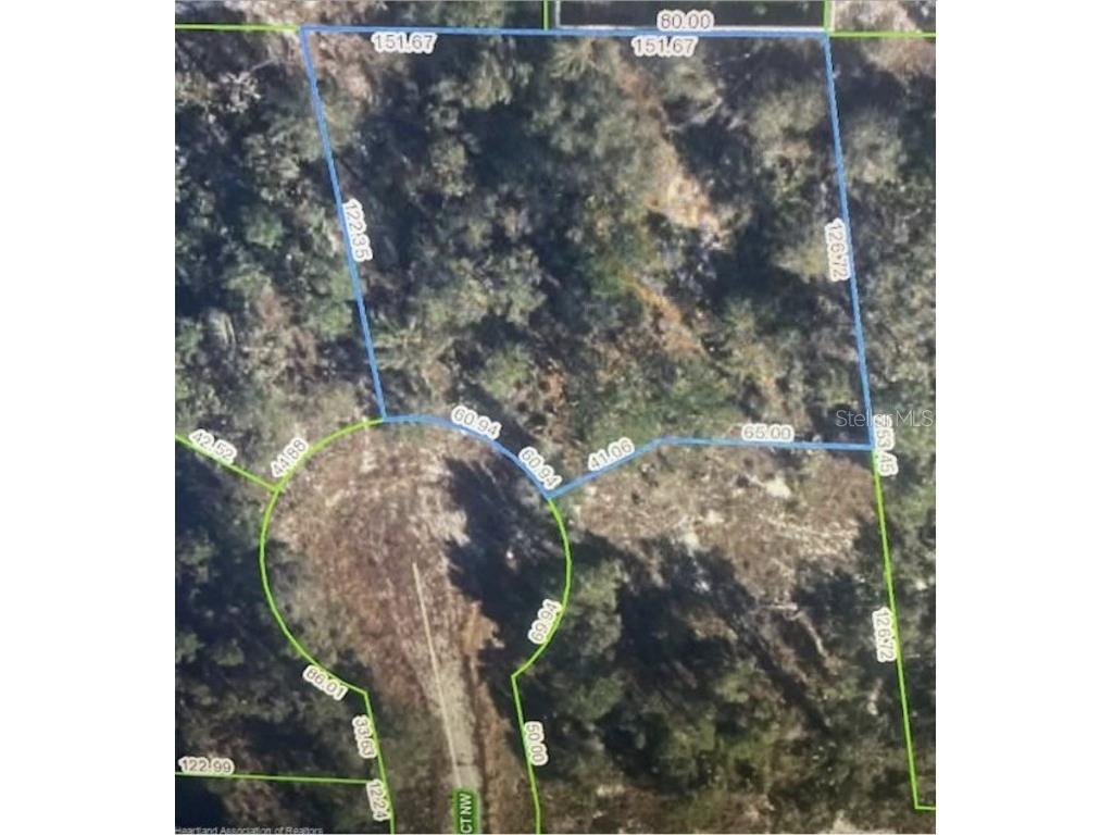 117 Excaliber Court NW Lake Placid FL 33852 J973088 image1