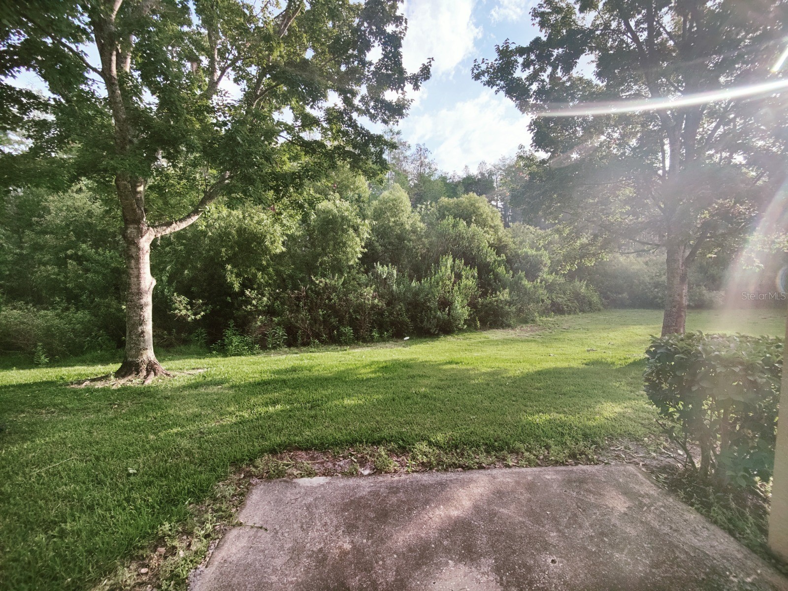 117 Glowing Peace Lane #96 Orlando FL 32824 S5145900 image23