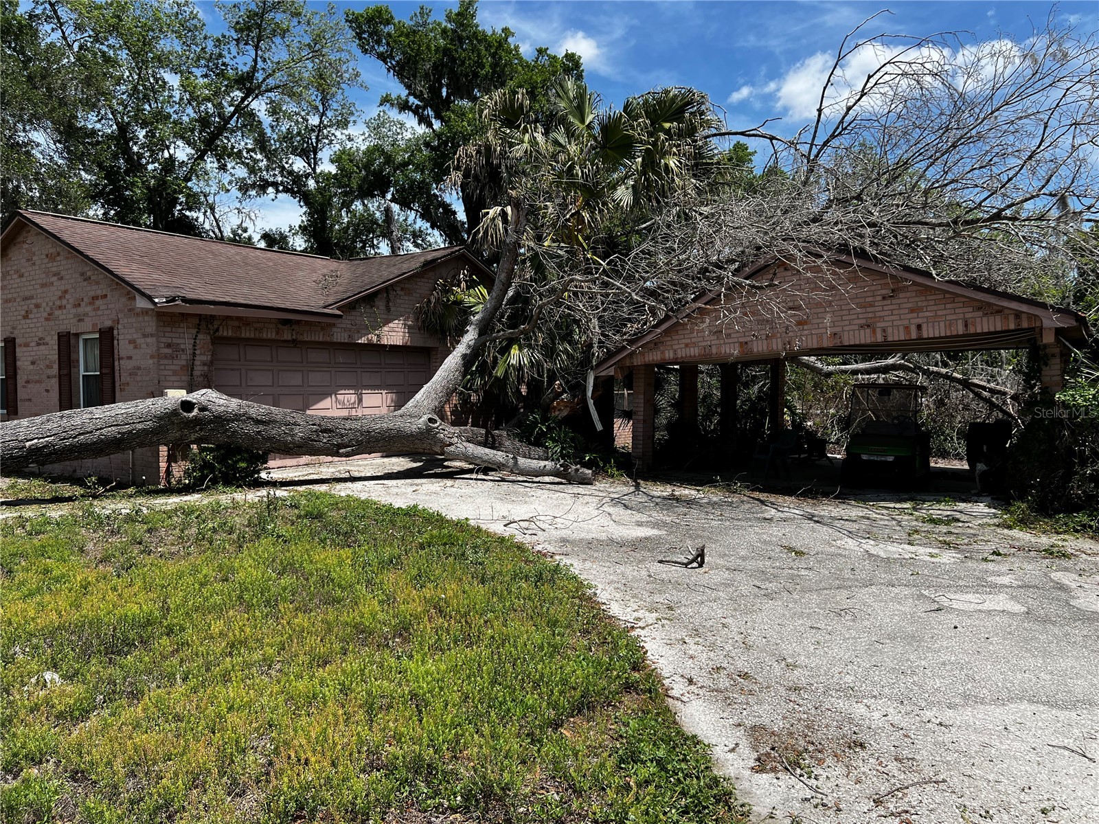 117 Hickory Creek Boulevard Brandon FL 33511 TB8497838 image5