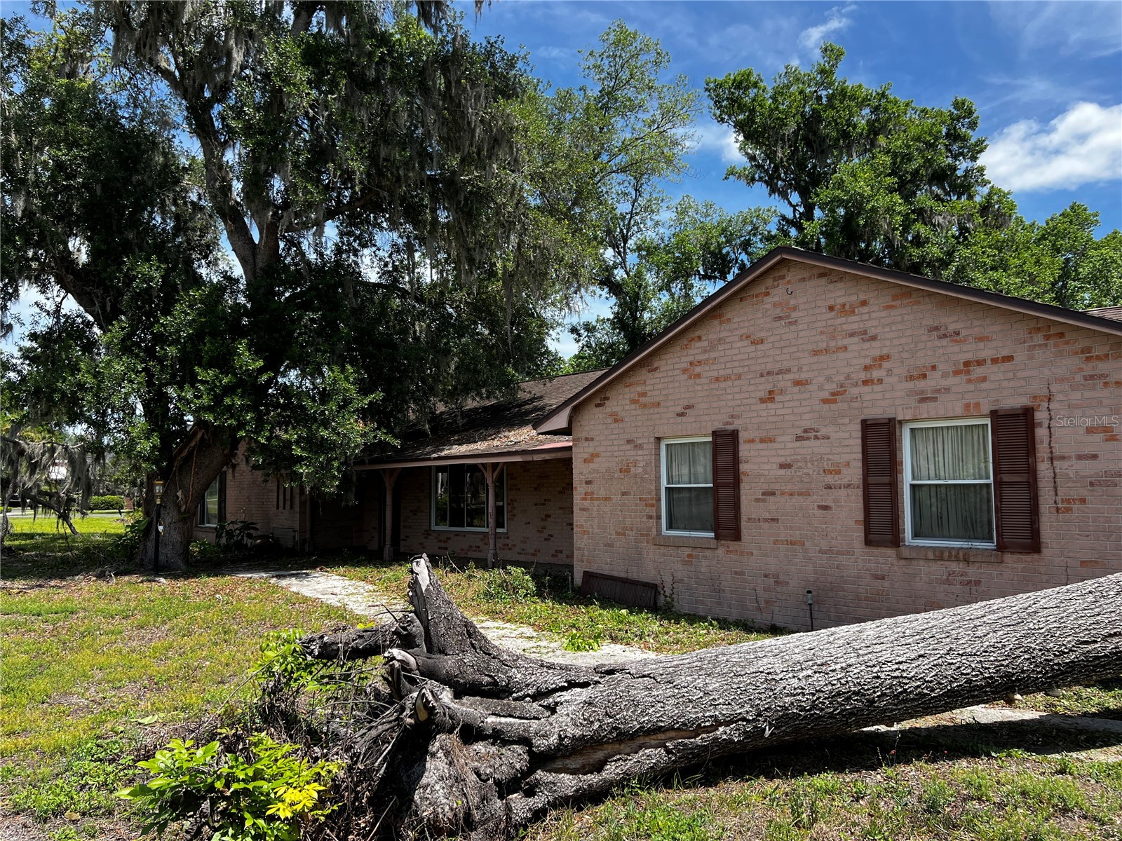 117 Hickory Creek Boulevard Brandon FL 33511 TB8497838 image6