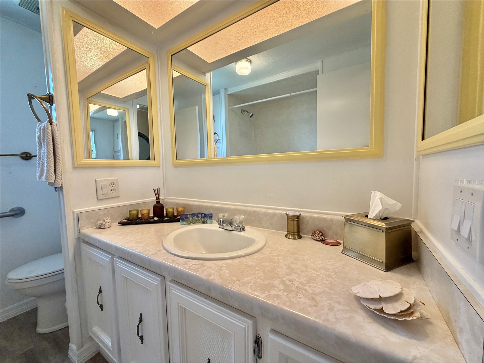 117 Jacaranda Drive Leesburg FL 34748 G5115353 image34
