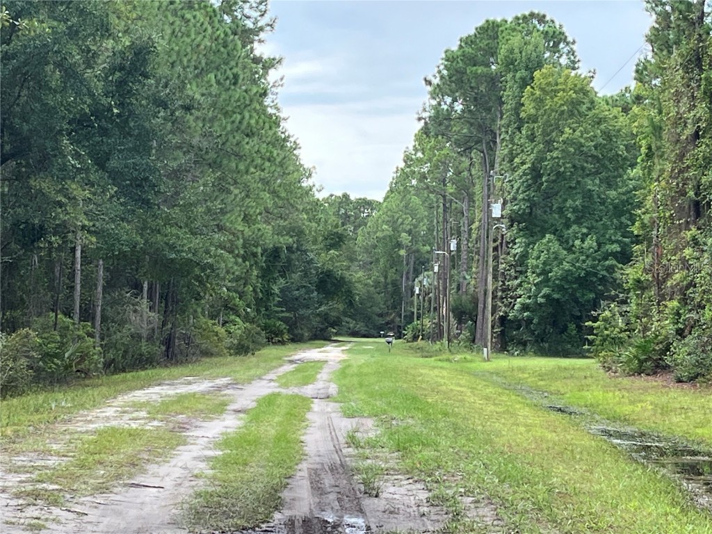 117 Mosswood Street Georgetown FL 32139 OK225488 image3