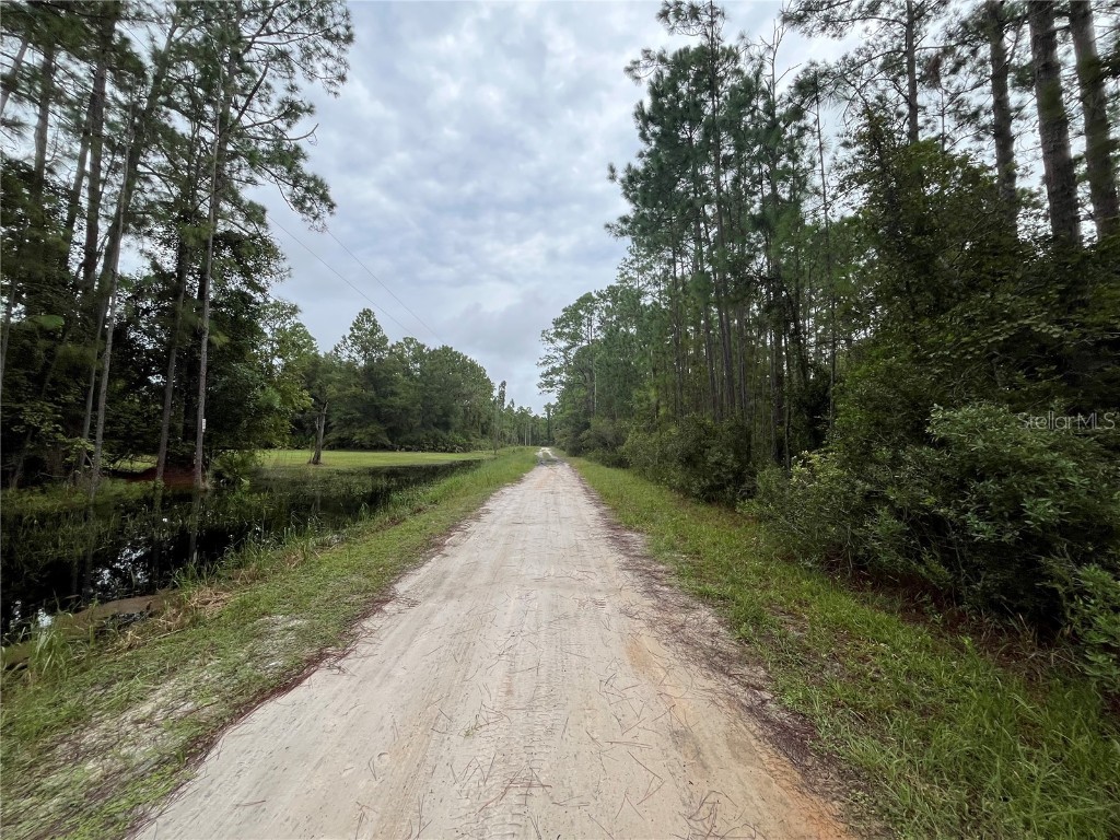 117 Mosswood Street Georgetown FL 32139 OK225488 image5