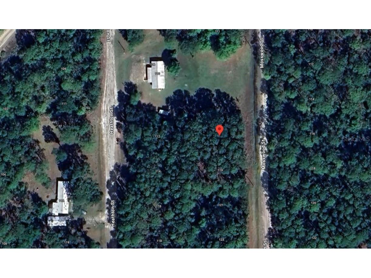 117 Mosswood Street Georgetown FL 32139 OK225488 image7