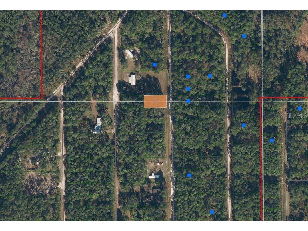 117 Mosswood Street Georgetown FL 32139 OK225488 image8