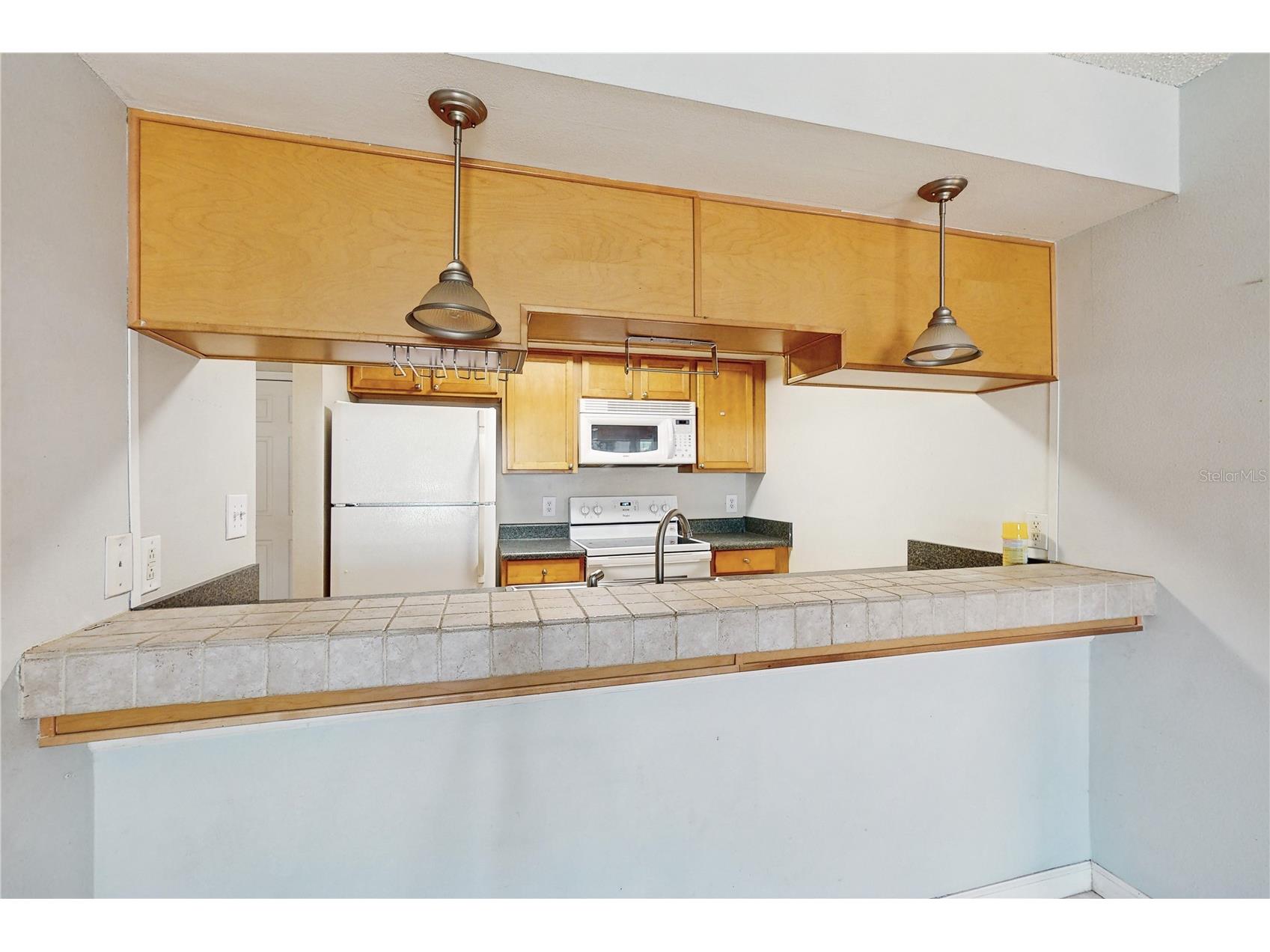 117 N Mercury Avenue #117 Clearwater FL 33765 TB8494852 image10