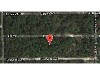 117 Palm Way Georgetown FL 32139 OM627893 image2