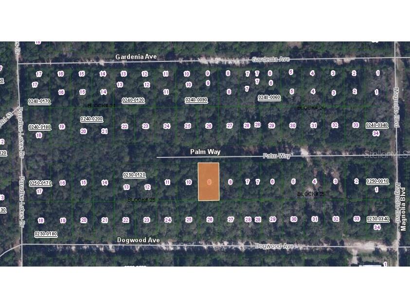 117 Palm Way Georgetown FL 32139 OM627893 image3