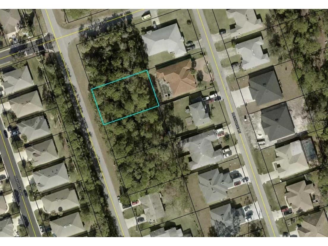 117 Rae Drive Palm Coast FL 32164 TB8410942 image1