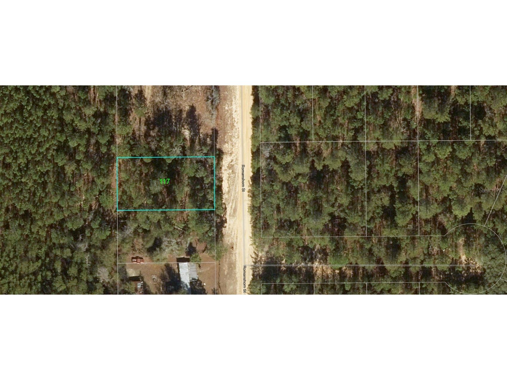 117 Romanshorn Street Interlachen FL 32148 OM699773 image1