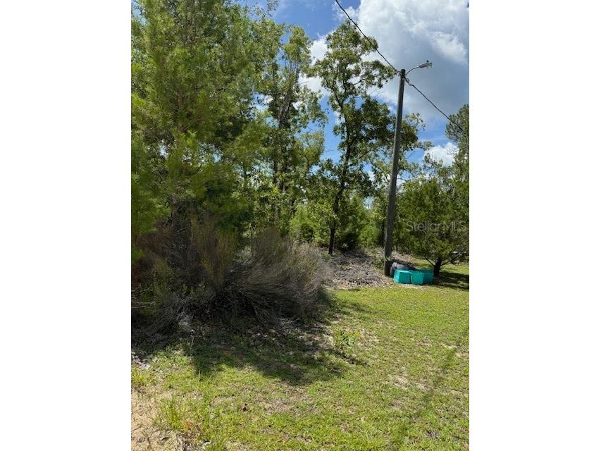 117 S Dakota Street Hawthorne FL 32640 OM706588 image1