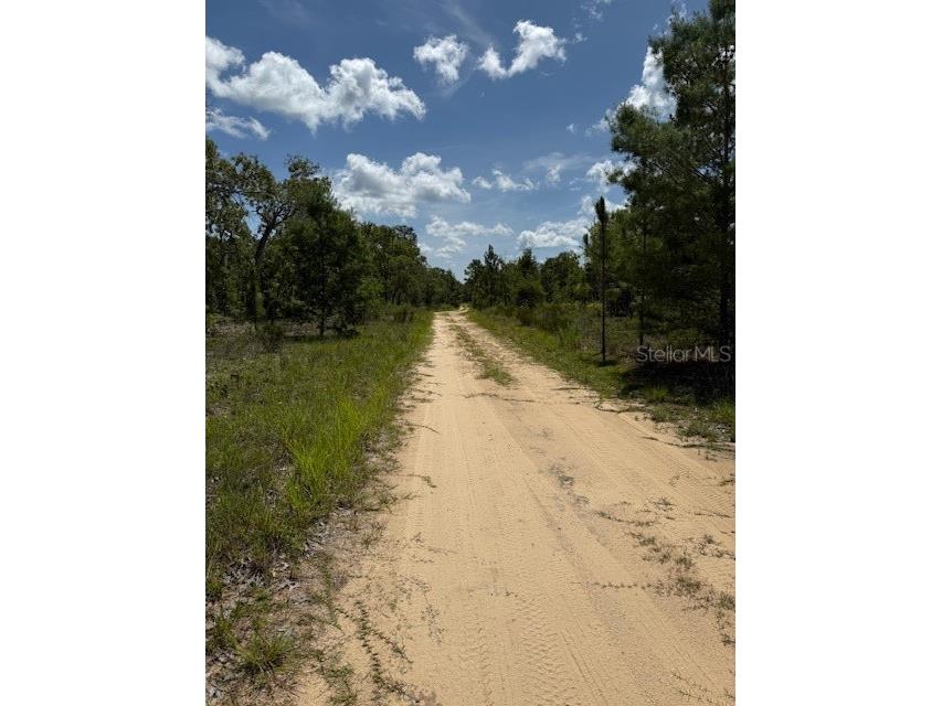 117 S Dakota Street Hawthorne FL 32640 OM706588 image3