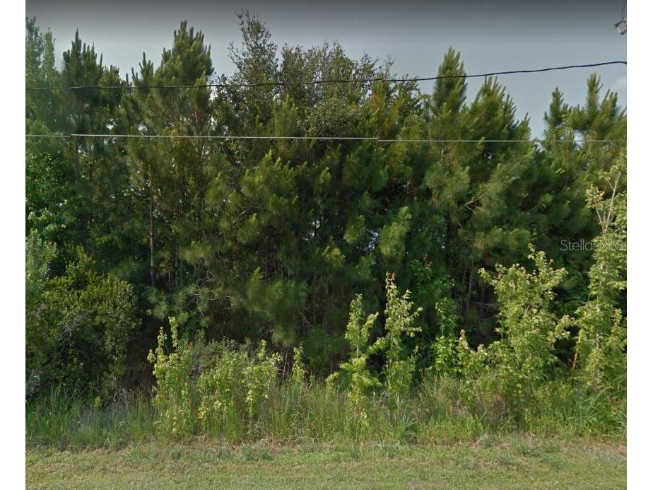 117 Spoonbill Court Poinciana FL 34759 B4901295 image1