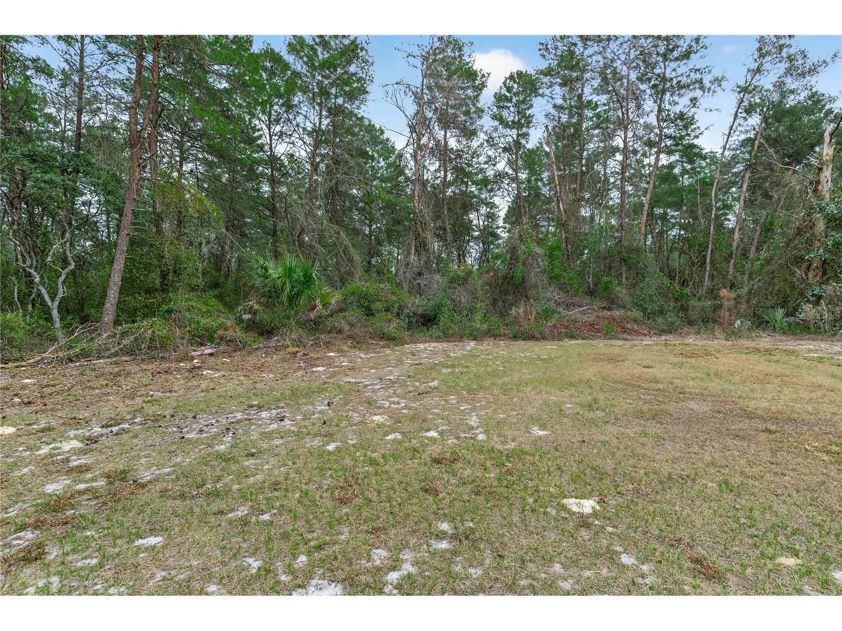 117 Stoddard Road Crescent City FL 32112 GC539369 image62