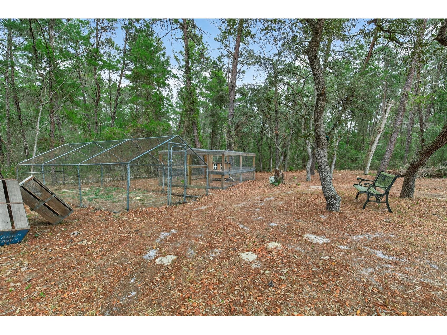 117 Stoddard Road Crescent City FL 32112 GC539369 image66