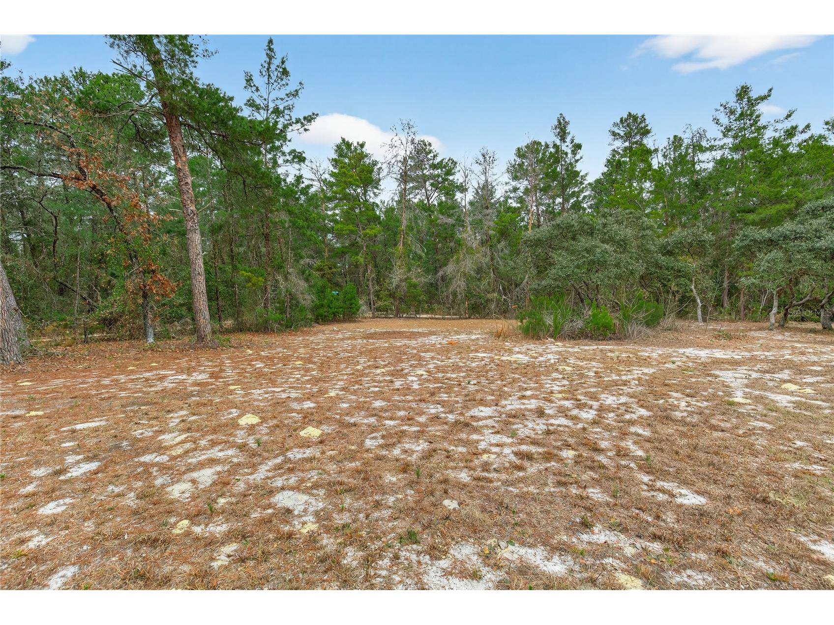 117 Stoddard Road Crescent City FL 32112 GC539369 image69