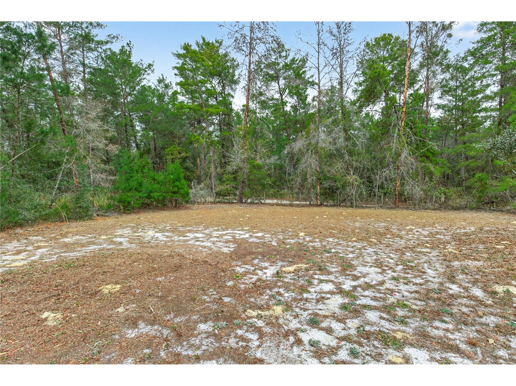 117 Stoddard Road Crescent City FL 32112 GC539369 image71