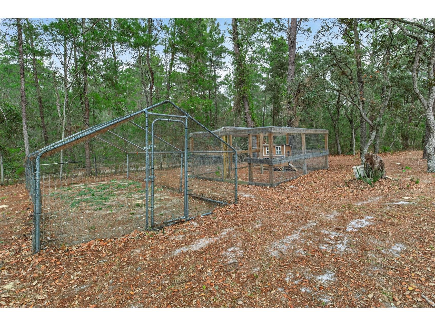 117 Stoddard Road Crescent City FL 32112 GC539369 image76
