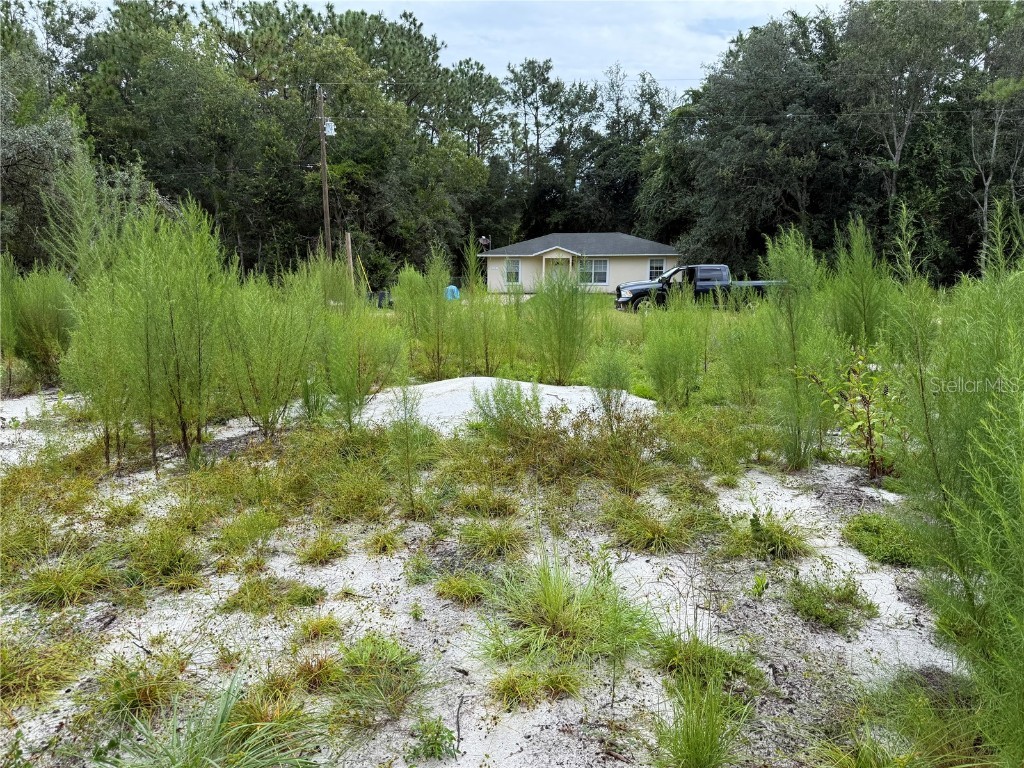 117 Sumac Street Interlachen FL 32148 O6338559 image11