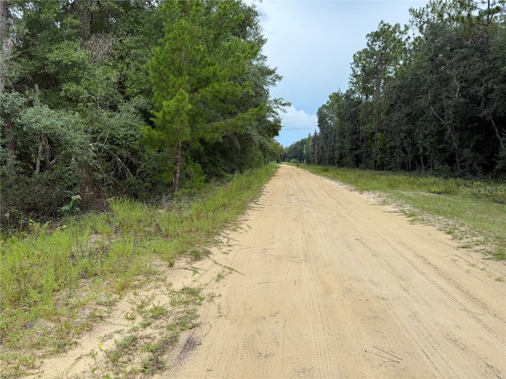 117 Sumac Street Interlachen FL 32148 O6338559 image12