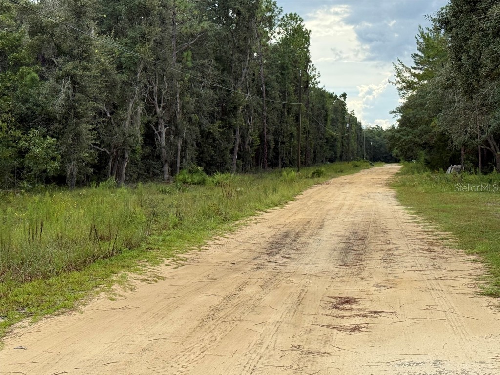 117 Sumac Street Interlachen FL 32148 O6338559 image13