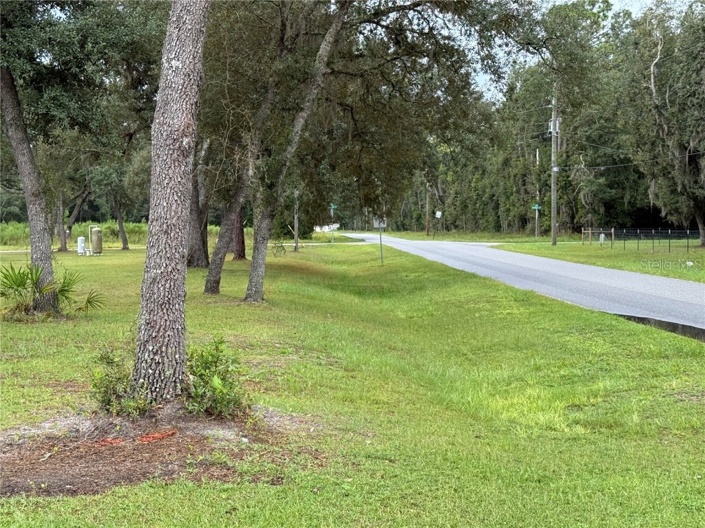 117 Sumac Street Interlachen FL 32148 O6338559 image15