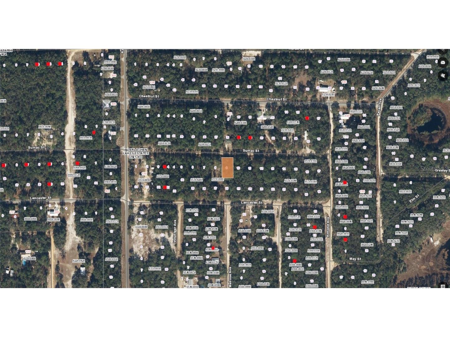 117 Sumac Street Interlachen FL 32148 O6338559 image18