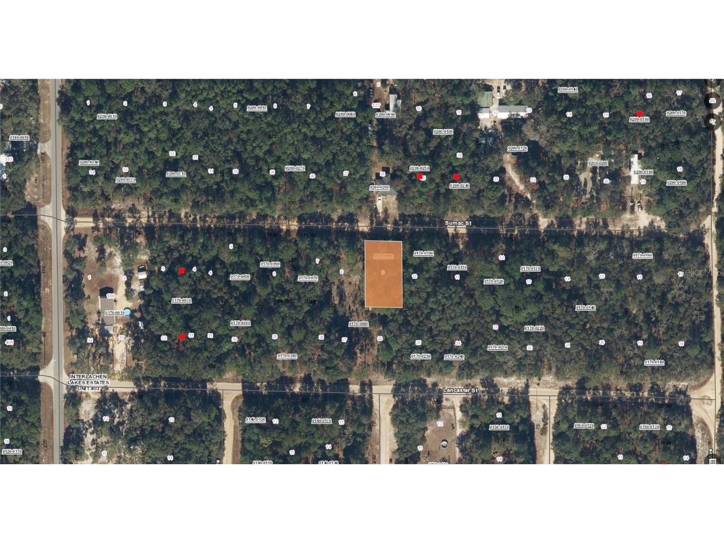 117 Sumac Street Interlachen FL 32148 O6338559 image19