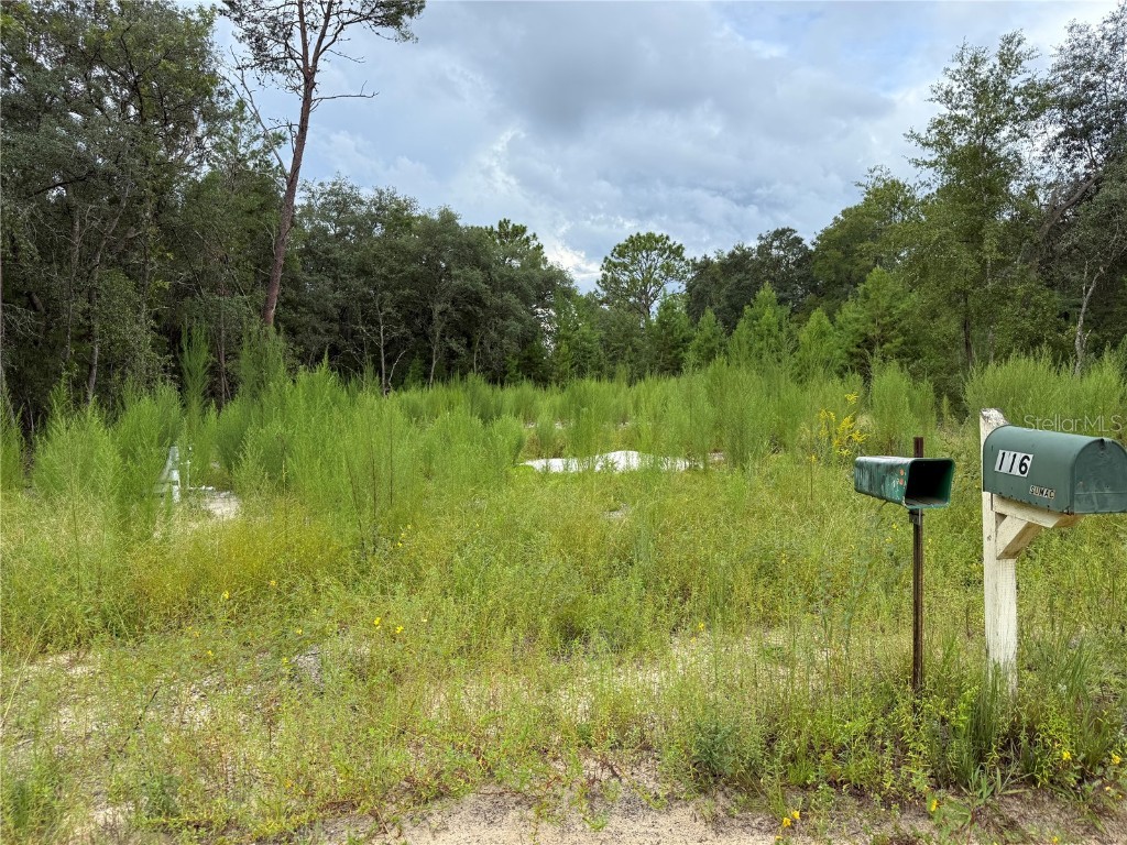 117 Sumac Street Interlachen FL 32148 O6338559 image2