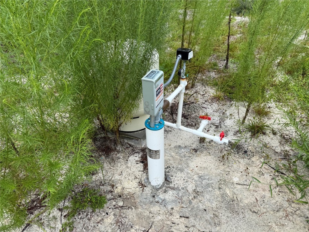 117 Sumac Street Interlachen FL 32148 O6338559 image5