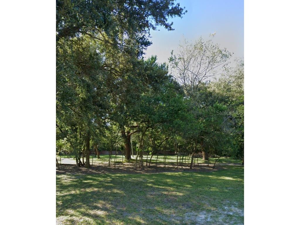 117 Watts Way #D Tampa FL 33613 TB8462178 image3