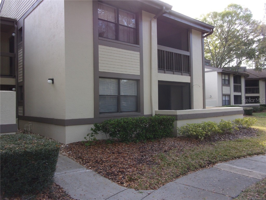 117 Woodlake Wynde Oldsmar FL 34677 U8242106 image1