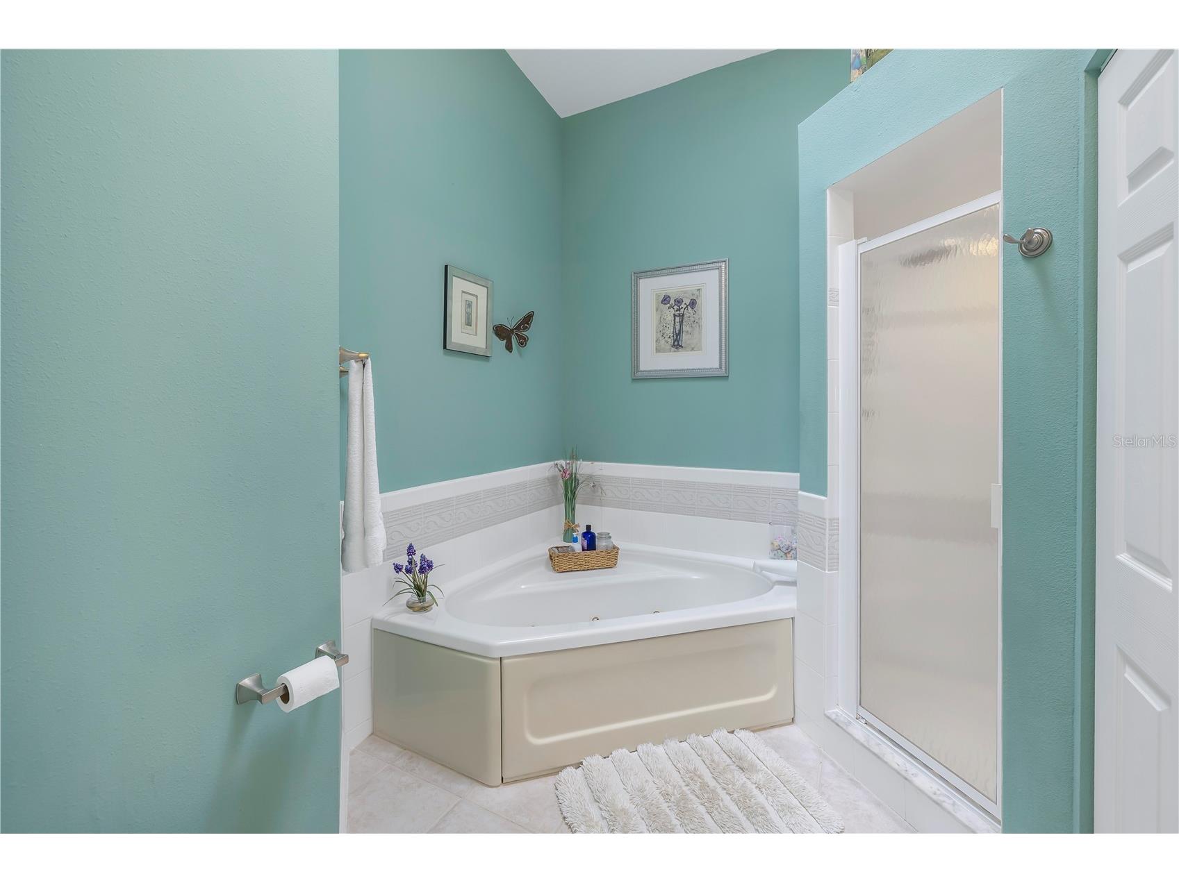 117 Yacht Club Lane Tierra Verde FL 33715 - TAMPA BAY TB8480721 image38