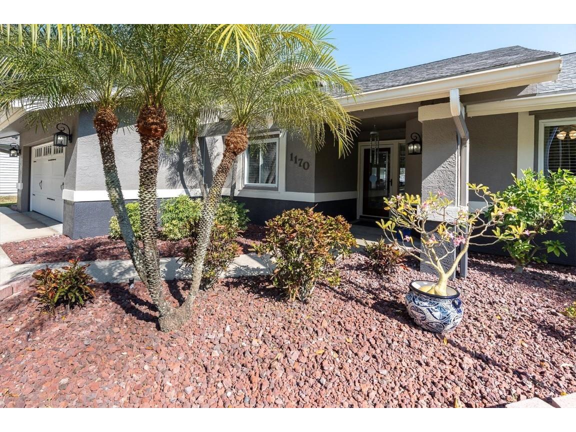 1170 Falcon Ridge Lane Palm Harbor FL 34683 W7881297 image3