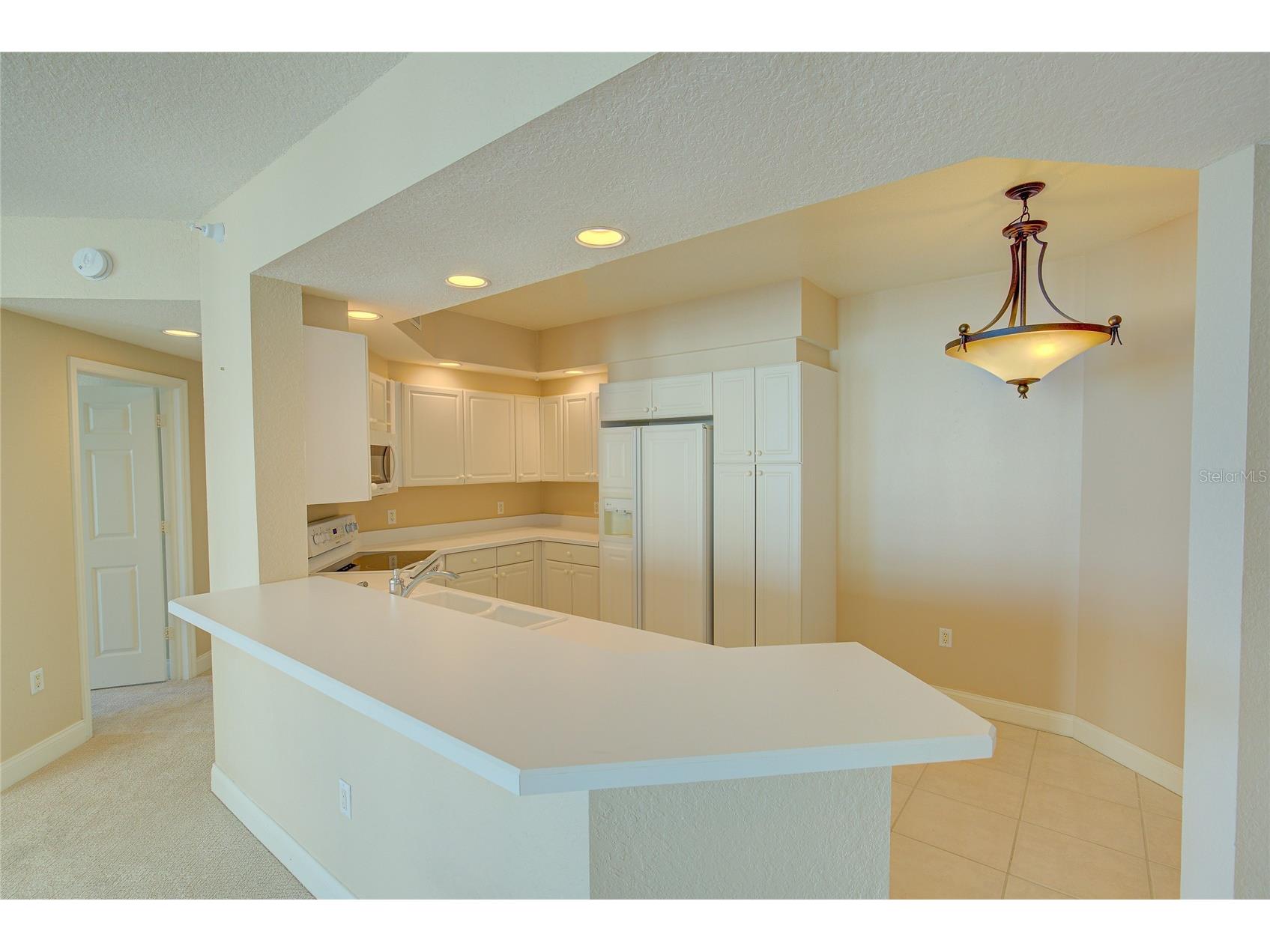 1170 Gulf Boulevard #1803 Clearwater Beach FL 33767 - GULF OF MEXICO TB8405479 image22