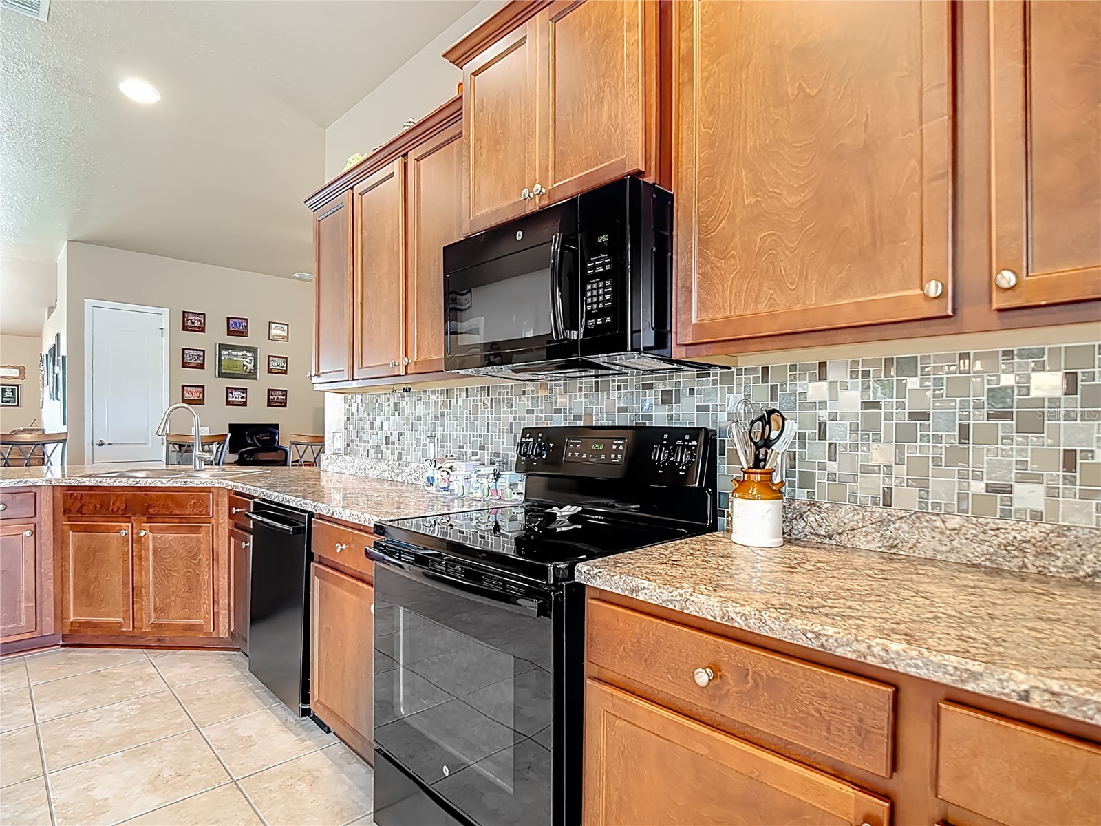 1170 Legatto Loop Dundee FL 33838 P4938302 image15