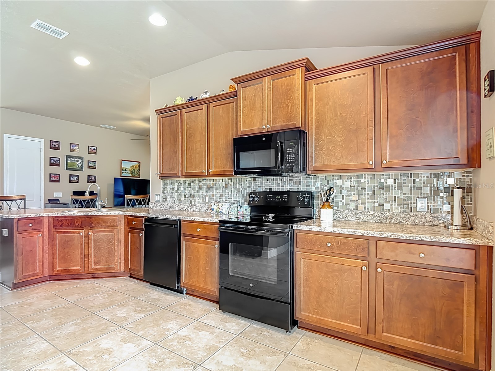 1170 Legatto Loop Dundee FL 33838 P4938302 image16