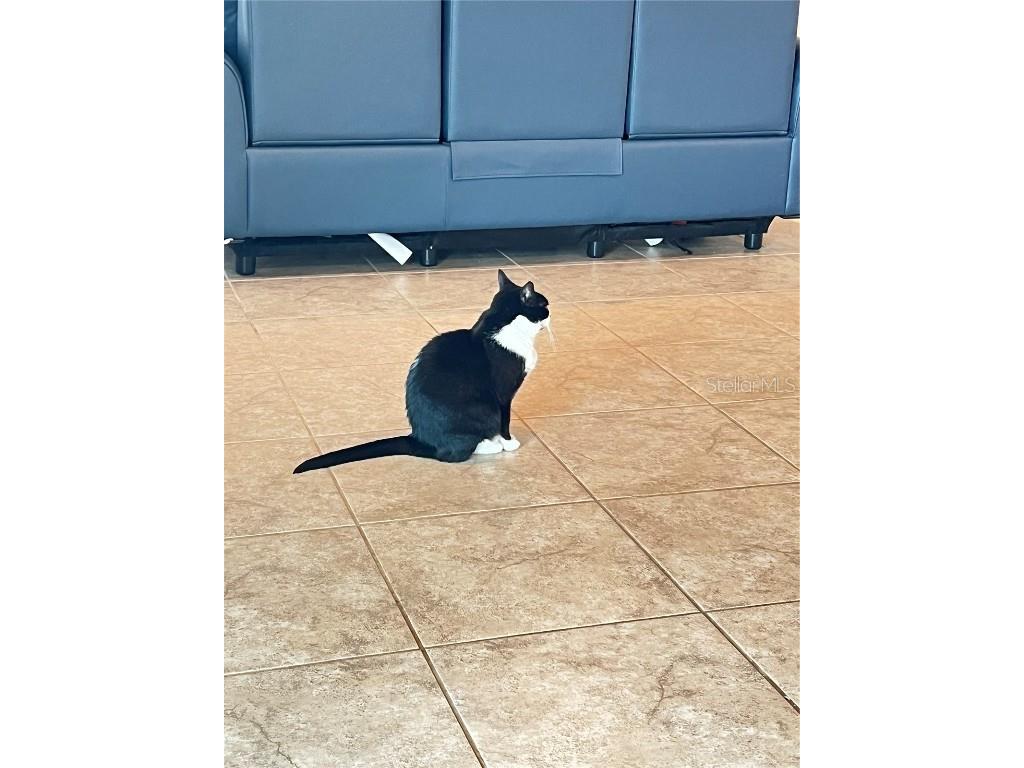 1170 Lexington Lane Haines City FL 33844 TB8437019 image33