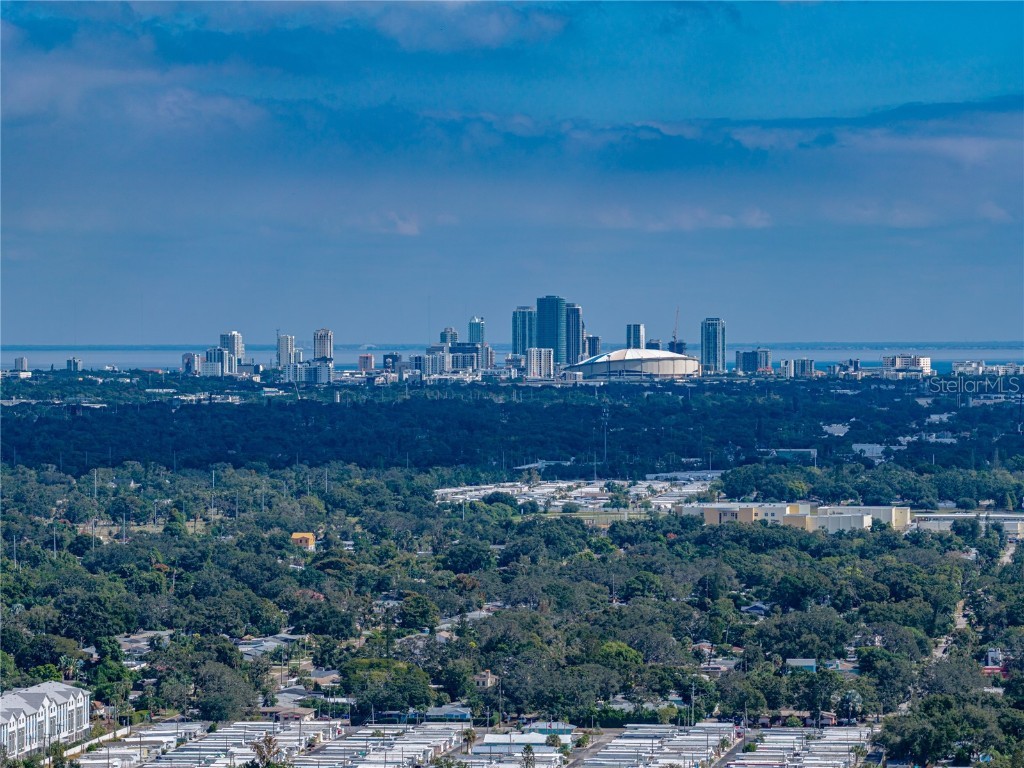 1170 Rue Des Chateaux #1A South Pasadena FL 33707 TB8443560 image38