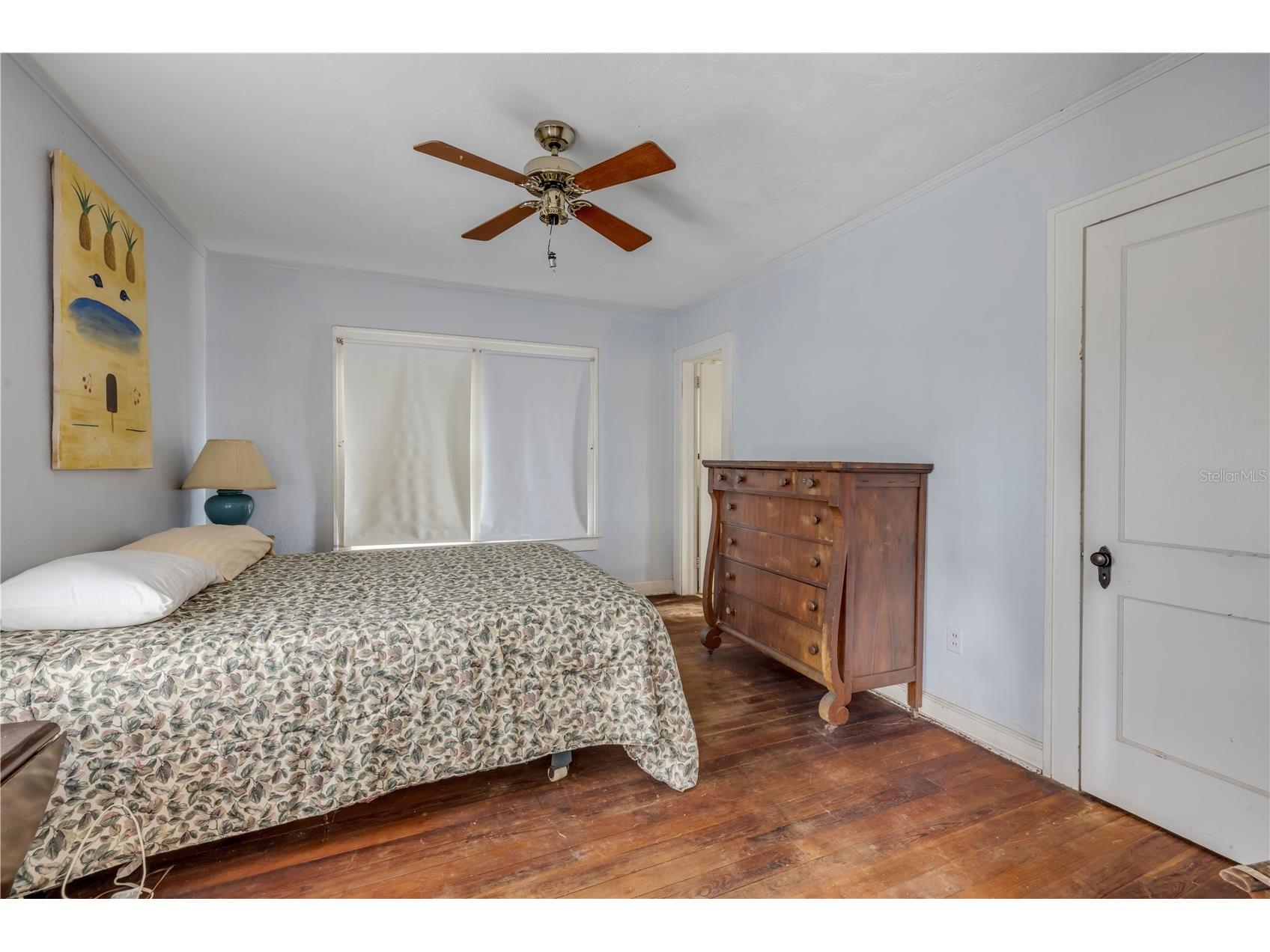 1170 S Clayton Street Mount Dora FL 32757 NS1087428 image6