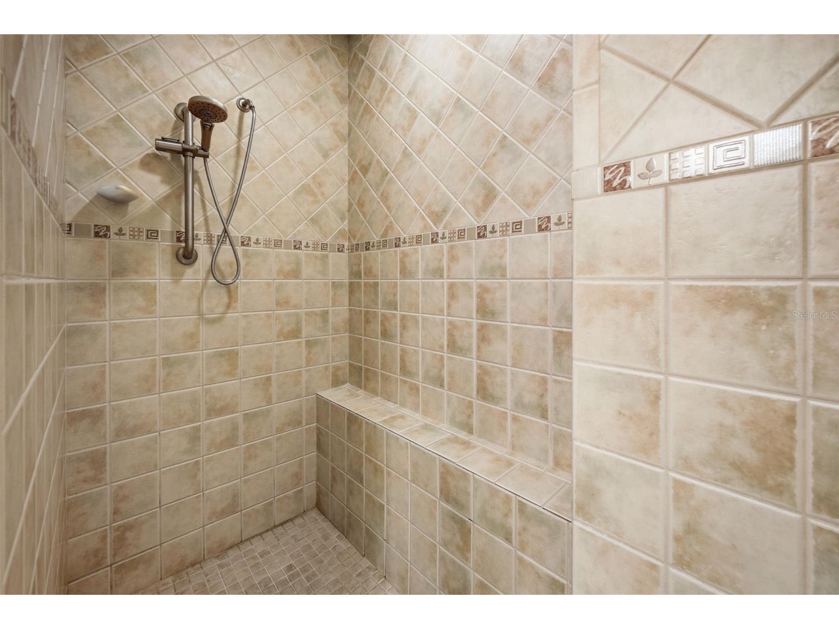 1170 S Pointe Alexis Drive Tarpon Springs FL 34689 W7883669 image26