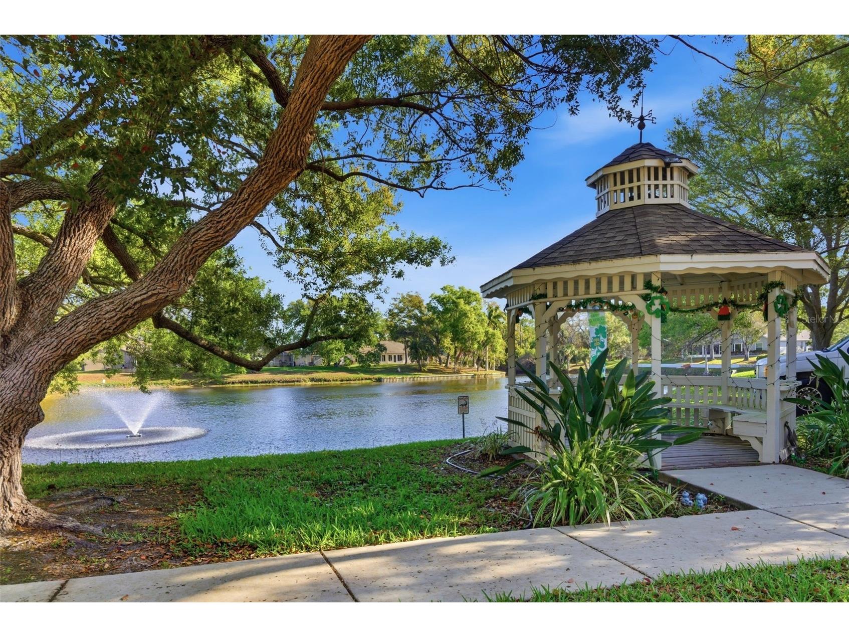 1170 S Pointe Alexis Drive Tarpon Springs FL 34689 W7883669 image48