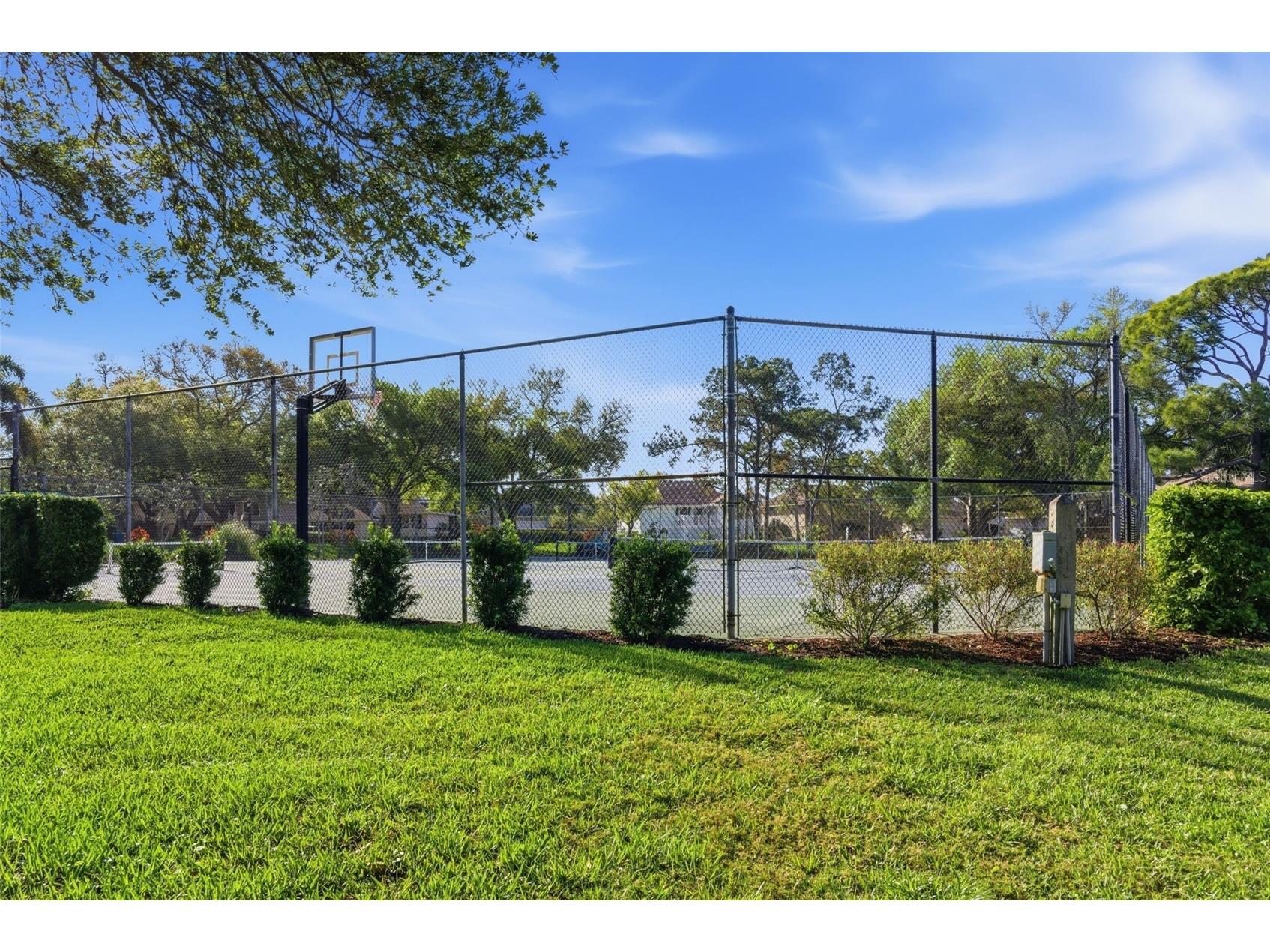 1170 S Pointe Alexis Drive Tarpon Springs FL 34689 W7883669 image49