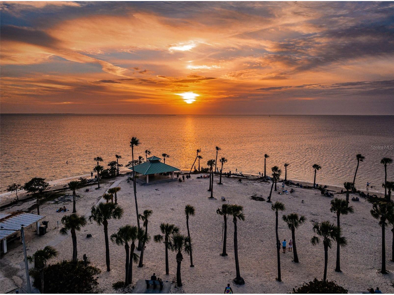 1170 S Pointe Alexis Drive Tarpon Springs FL 34689 W7883669 image64