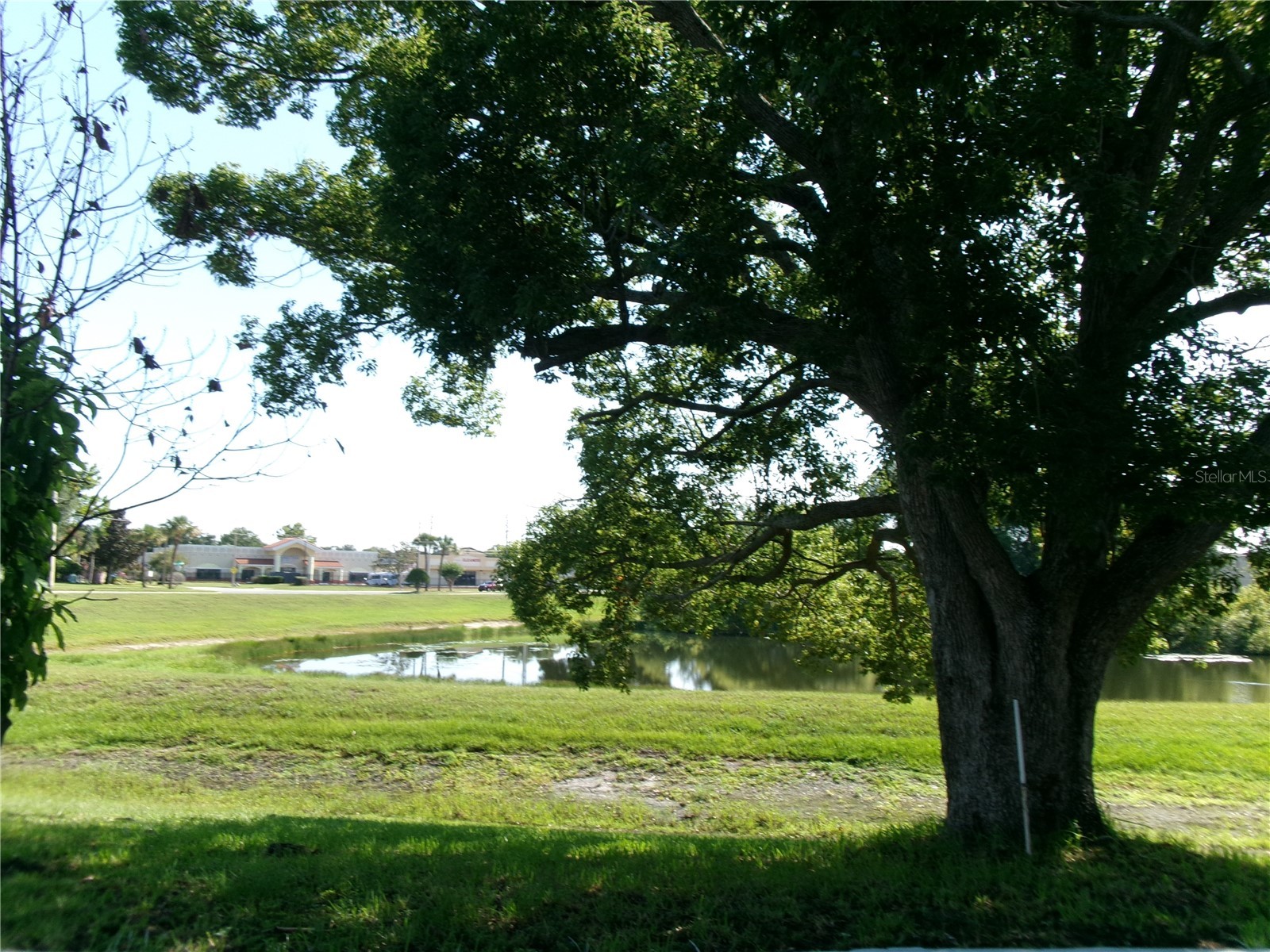 11700 Minto Court Orlando FL 32837 S5152688 image29