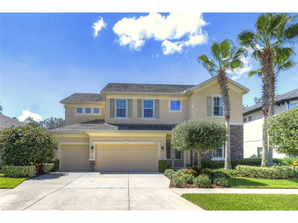11701 Arbor Mead Avenue Riverview FL 33569 T3469826 image1